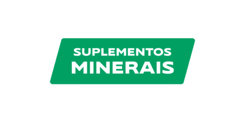 Linha Minerais
