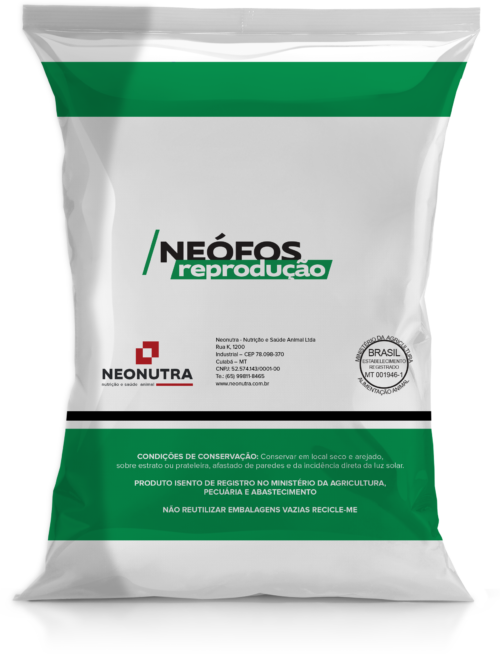 Neofós Reprodução - Image 2