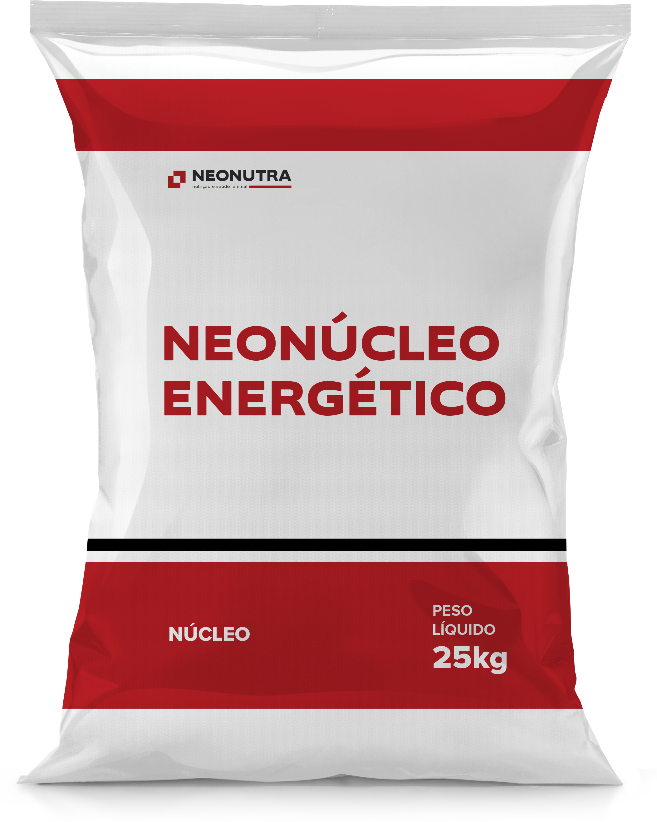 Neonúcleo Energético