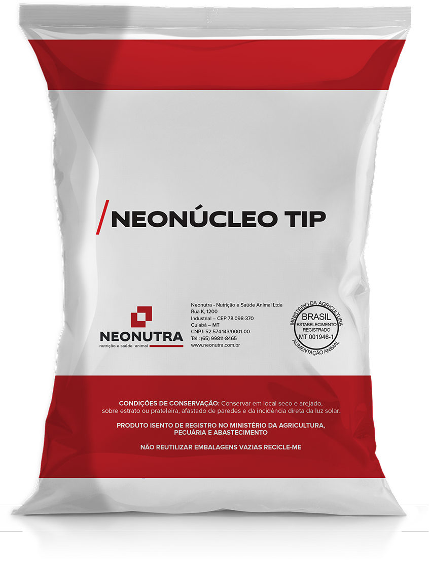 Neonúcleo TIP - Imagem 2